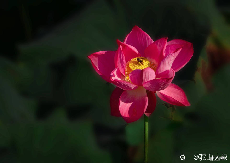 DSC08309-0 - 副本.jpg