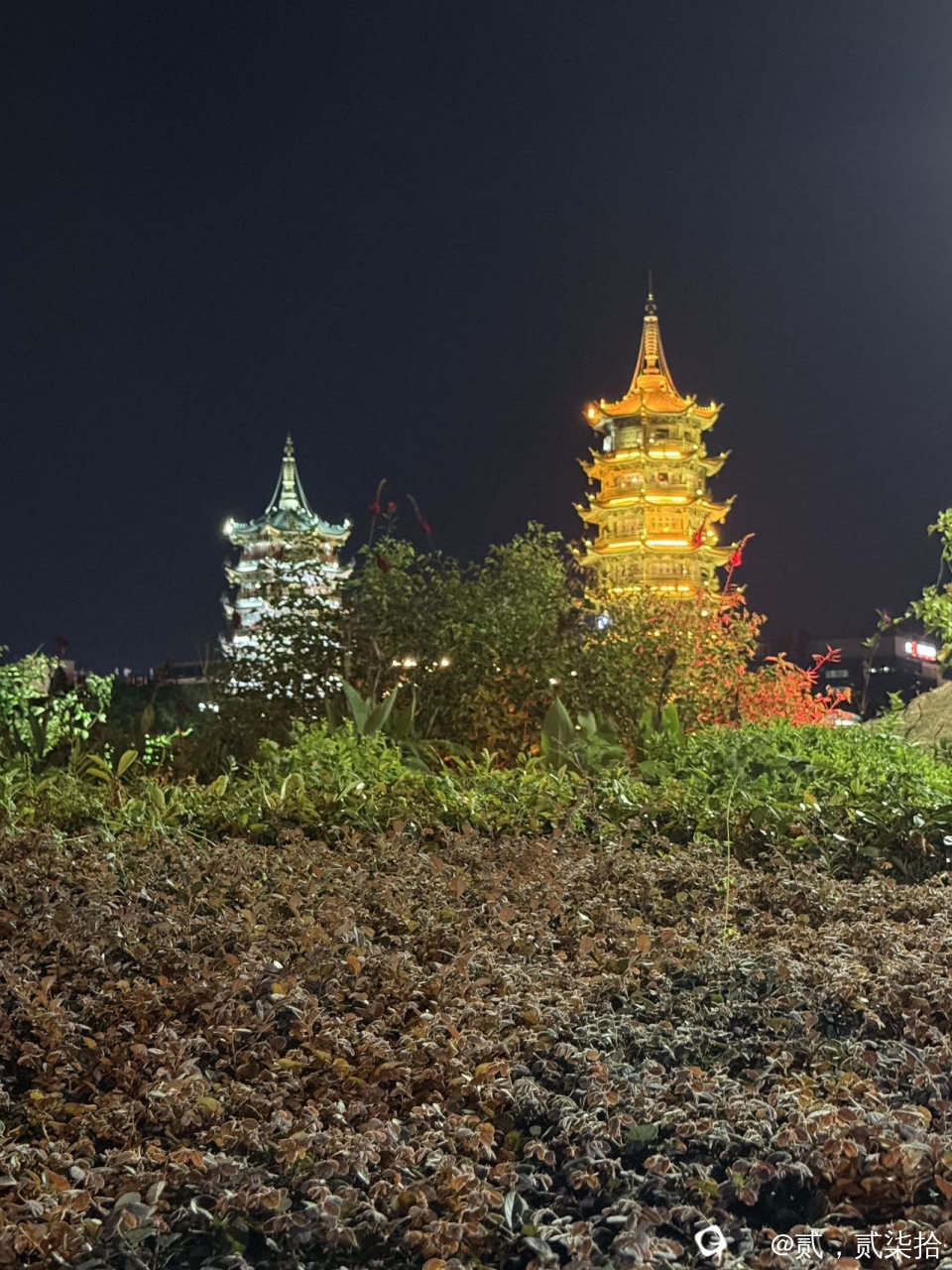 d405f195-9293-d305-5ab4-d650ca2e0dca.jpg