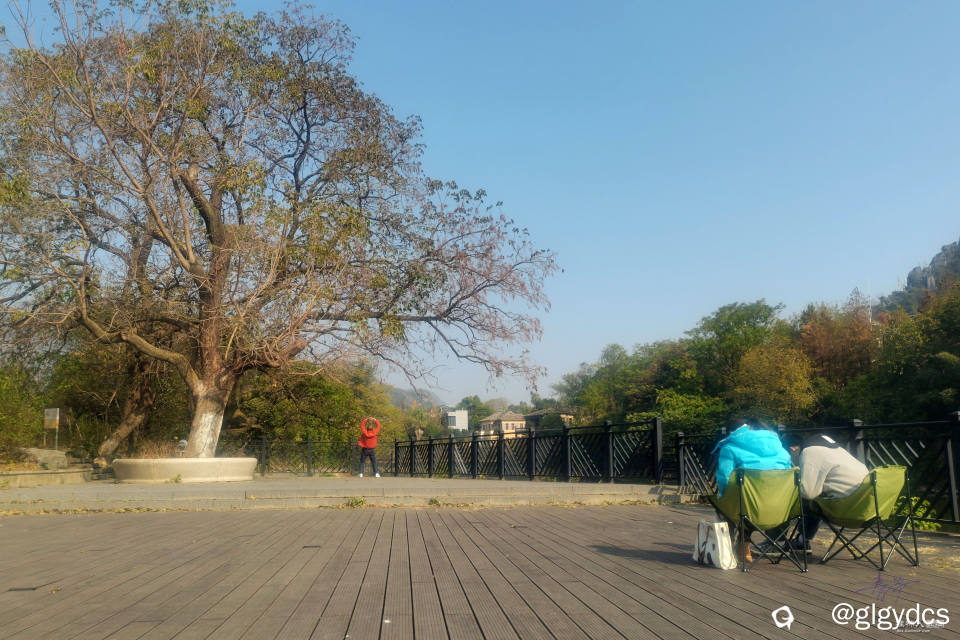 IMG_20241220_110101_副本.jpg