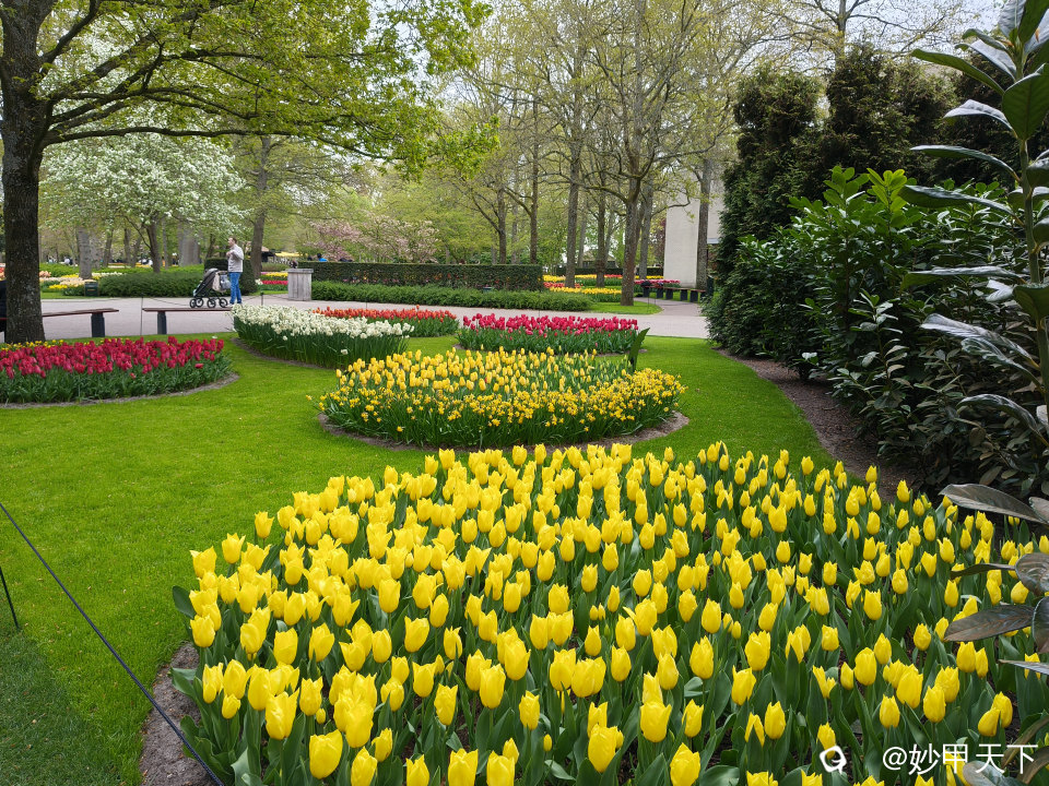 IMG20260420092636.jpg