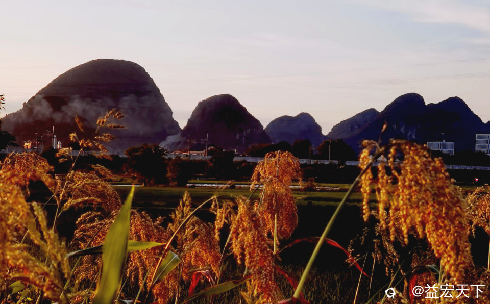 IMG_20240720_190236_edit_194993739476494.jpg