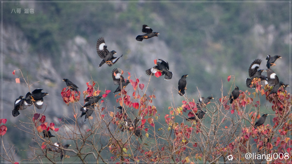 DSC04189_副本.jpg