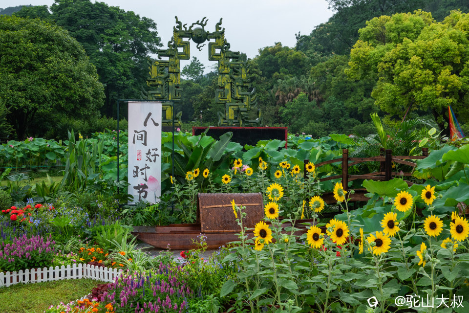 DSC03967-0.jpg