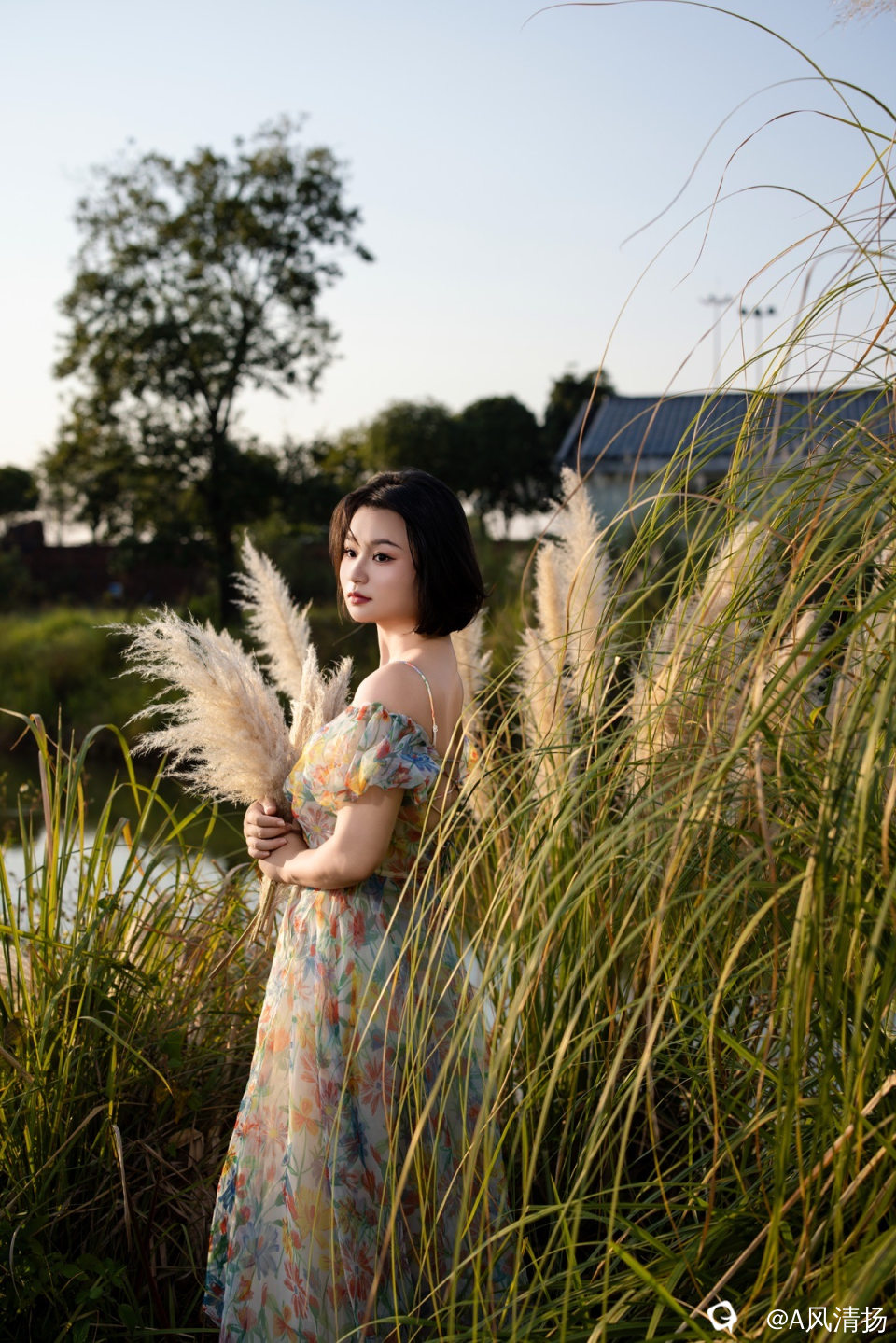 3b96782e-1a4d-8aa1-cc25-5dae4b0ada3f.jpg