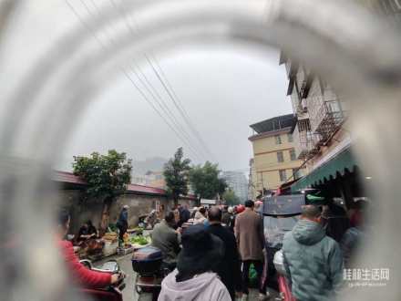 假期第一天，臨桂這菜市年圩好多人