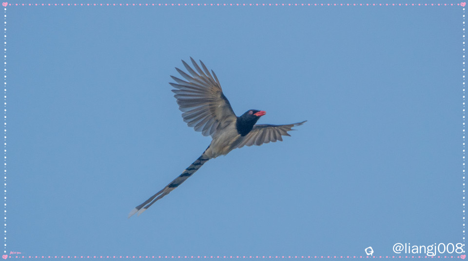 DSC02269_副本.jpg
