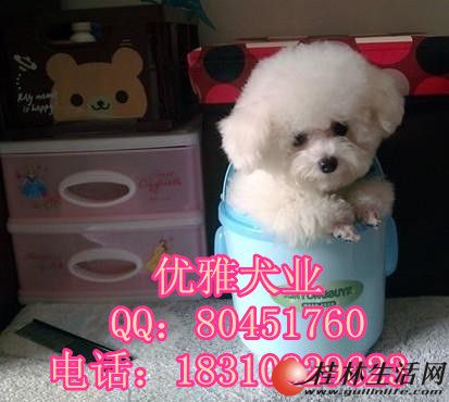 	 ���ַ�������Ȯ ���ֱ�����Ȯ ��������Ȯ �����ۺ�