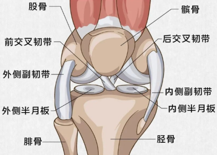 走路時膝蓋突然“軟”一下，可能是這些疾病的信號！