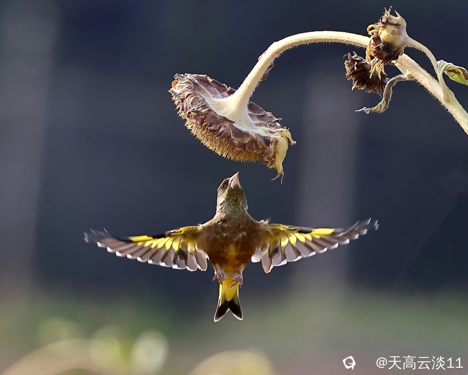 5D2A1856_副本.jpg