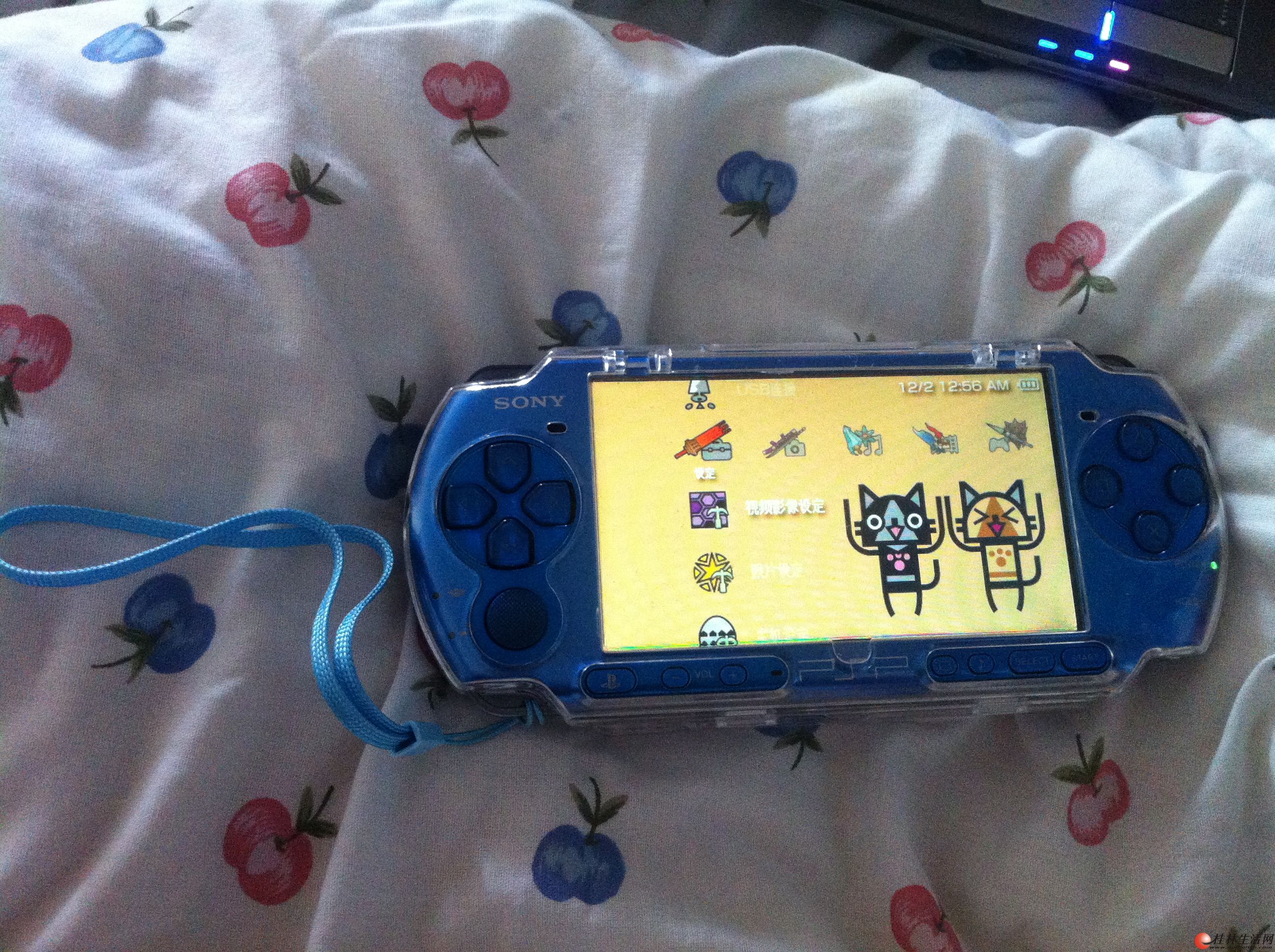 ���� PSP3006 ����ɫ