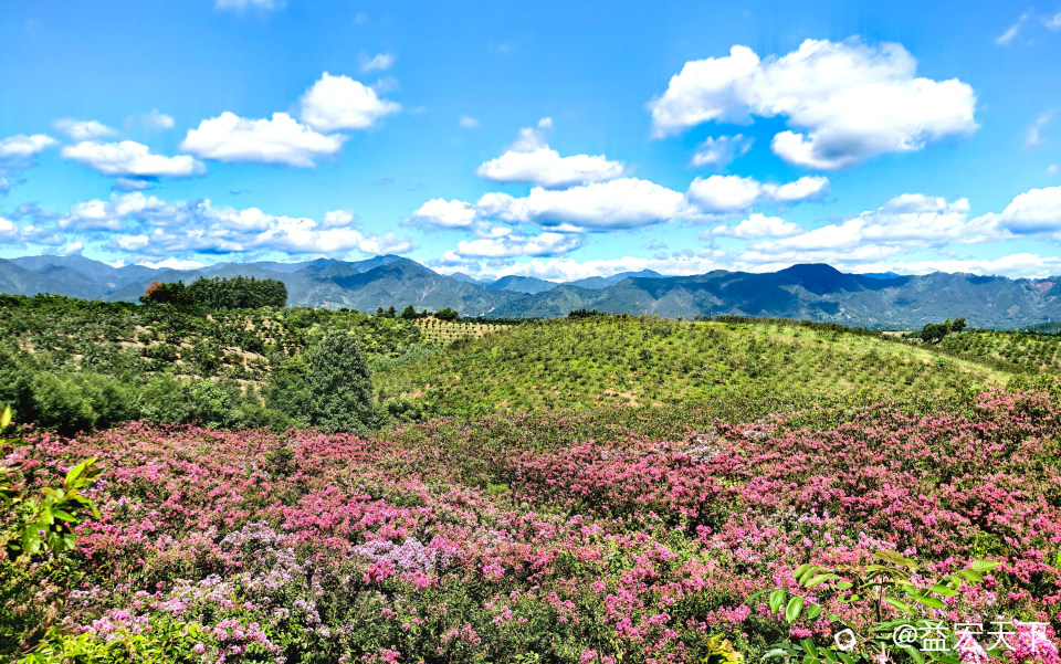 IMG_20240824_101840_edit_612388854659679.jpg
