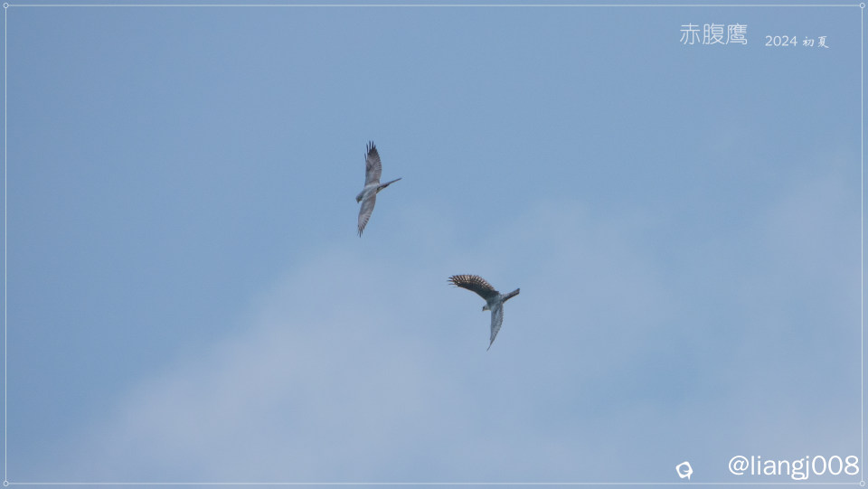 DSC00728.jpg