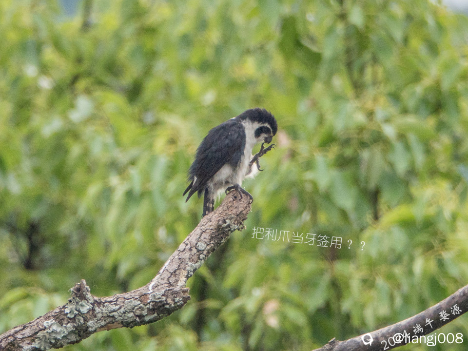 DSC08874_副本_副本.jpg