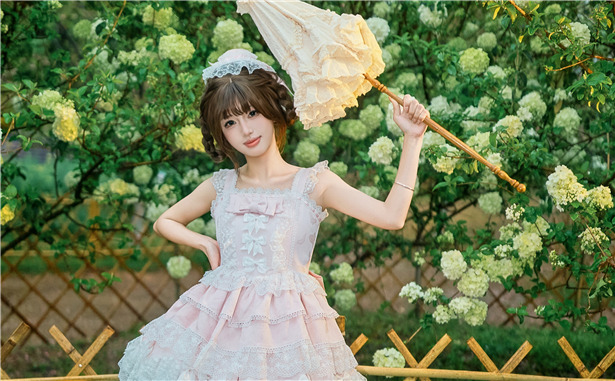 赴一场绣球花之约