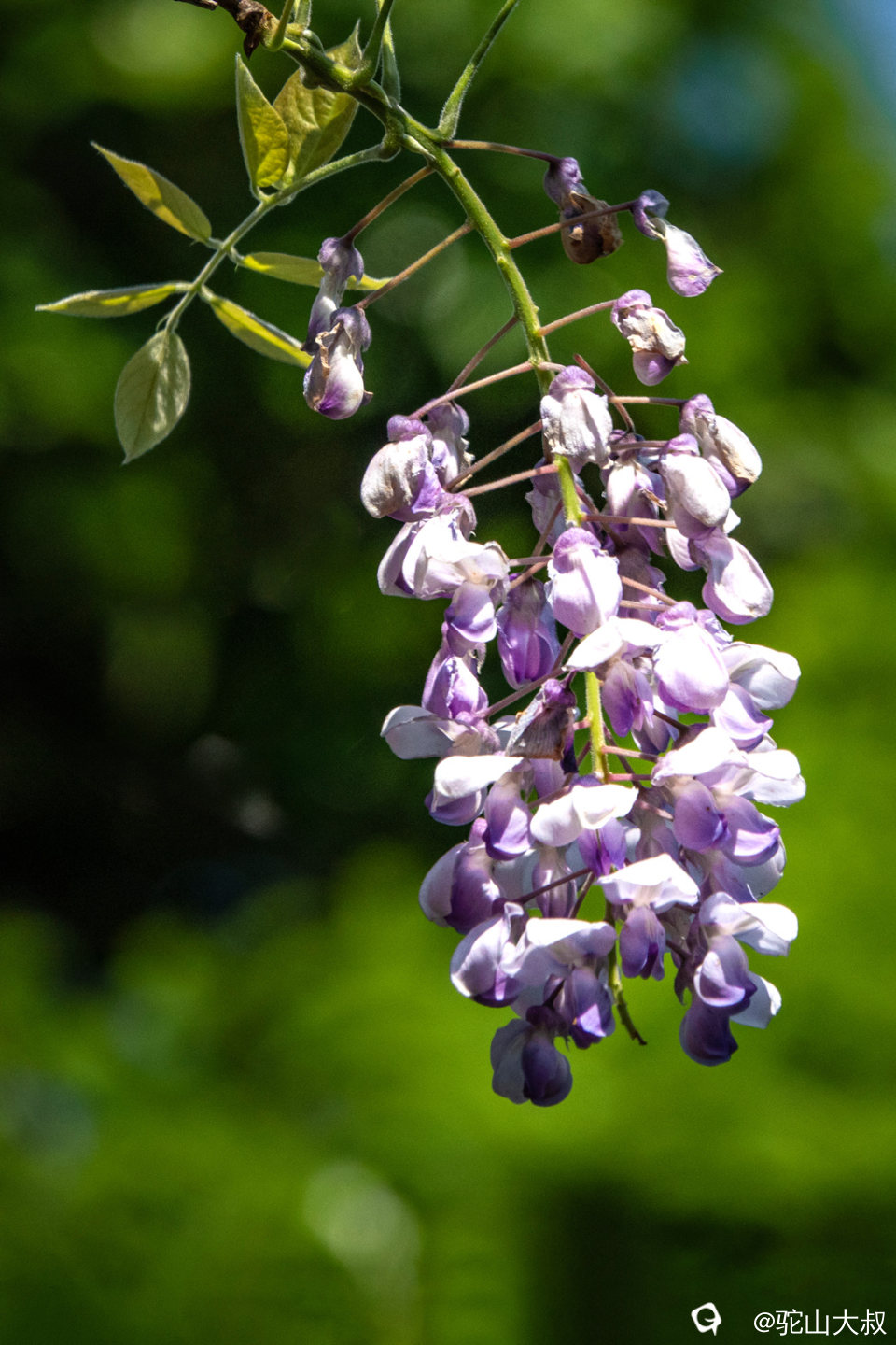 DSC01510-0 - 副本.jpg