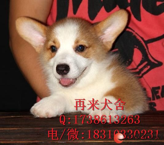 �»�Ȯ����Ǯ�»�Ȯ�۸�»�ȮͼƬ