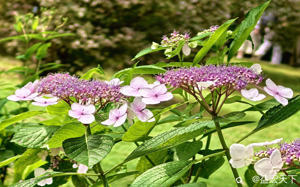 IMG_20260514_103519.jpg