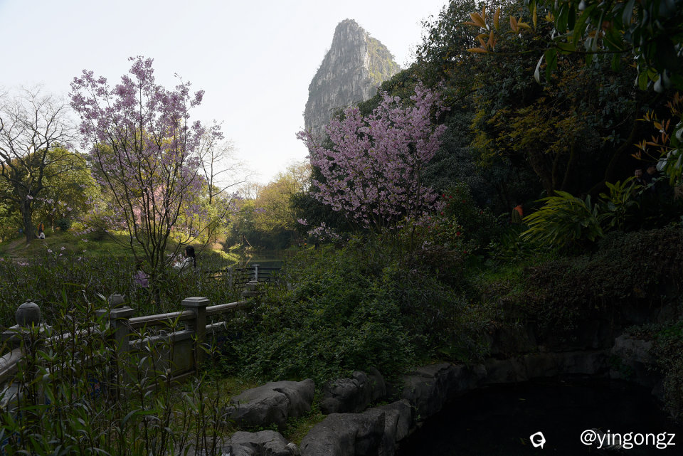 DSC_7169_副本.jpg