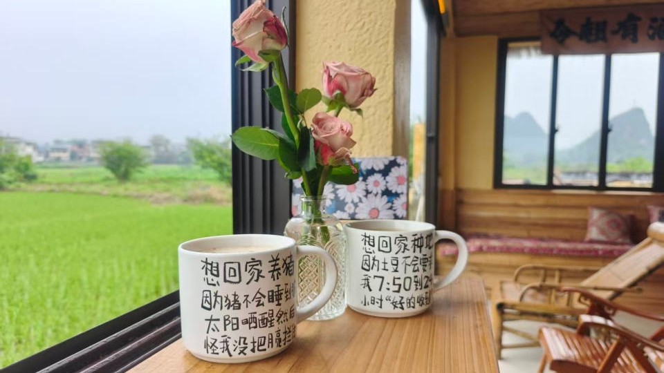 绝！桂林柘木村3家村咖，稻田荷塘露营一次性拥有