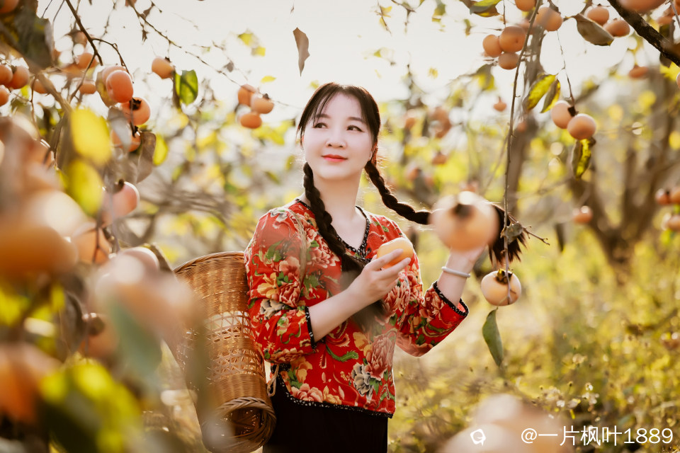 微信图片_20231228202533.jpg