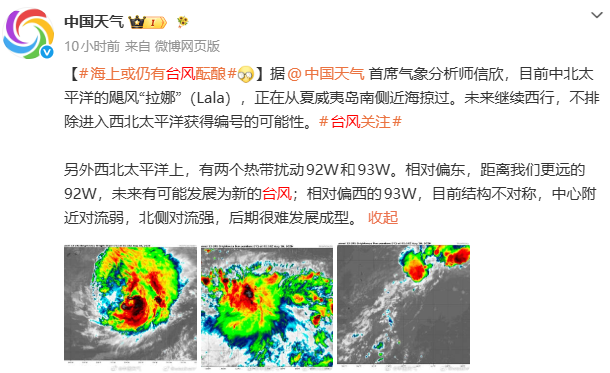 台风.png