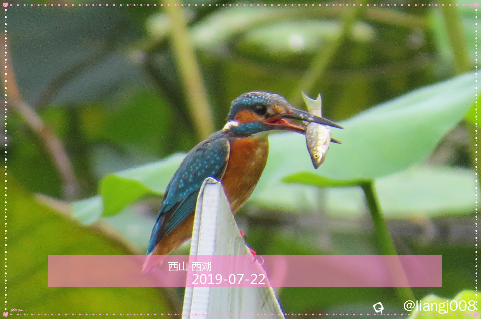 IMG_1352_副本.jpg