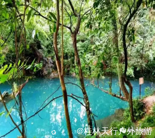 640.webp (5).png