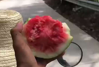 农村的路上总是藏满了好吃的水果！在广西“指一指”就能实现水果自由？  网友：这条路也太甜了吧！