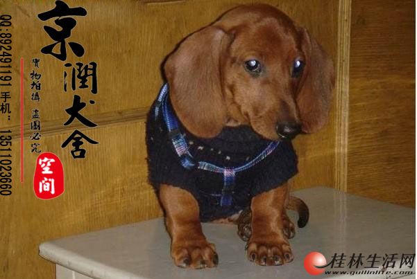��������Ȯ�ļ۸� ������������ȮС������