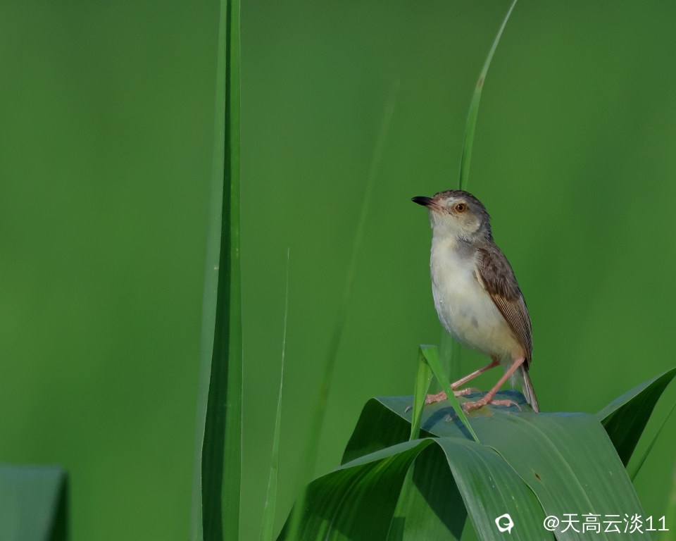 5D2A0504.JPG