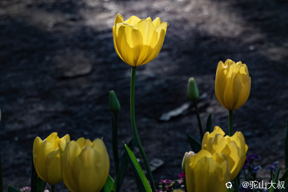 DSC05133-0 - 副本.jpg