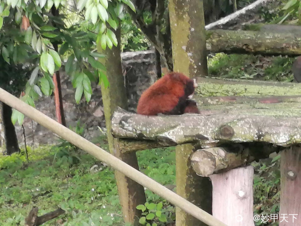 IMG_20230522_121139 (2).jpg