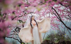 終于等到海洋桃花盛開(kāi)了