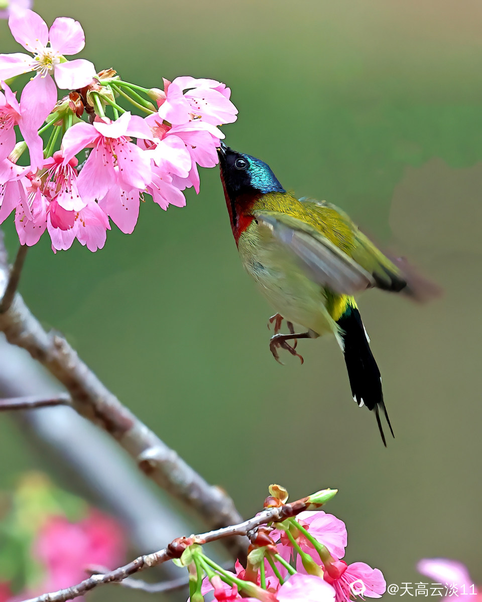 5D2A0623-DeNoiseAI-clear.jpg