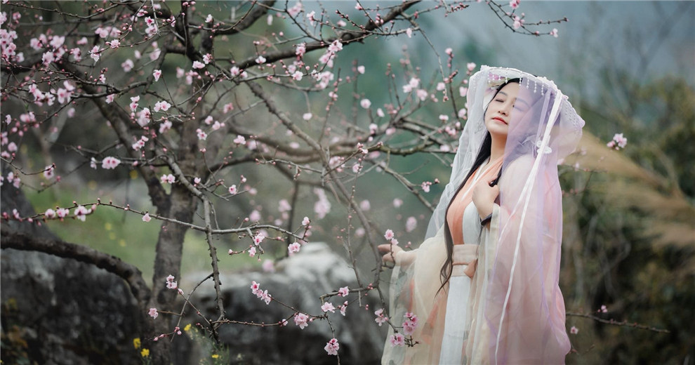 终于等到海洋桃花盛开了