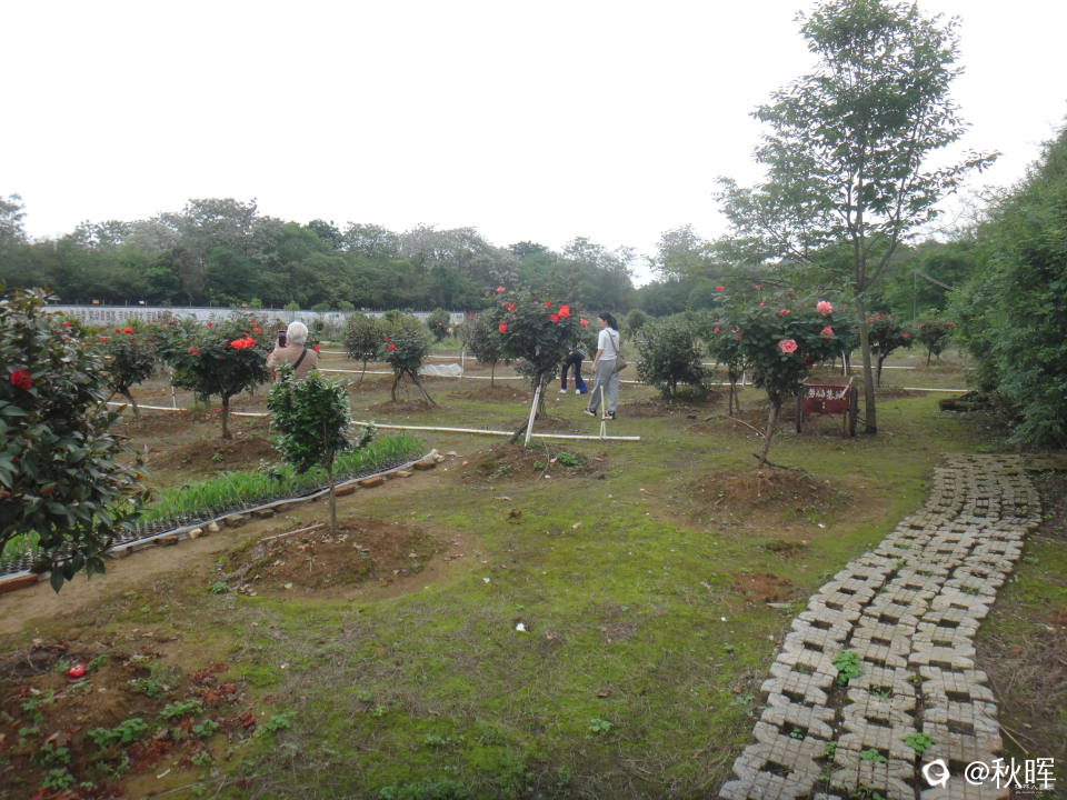 DSC08245.JPG