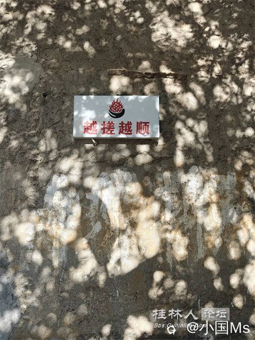 IMG20240602084318.jpg