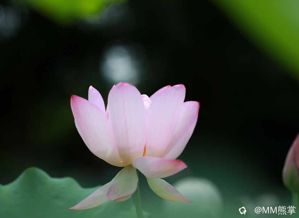 39d2f5b3-fc2e-967b-d762-db17ad7796a9.jpg