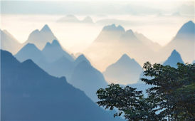 2025年9月風(fēng)姿攝影月獎(jiǎng)