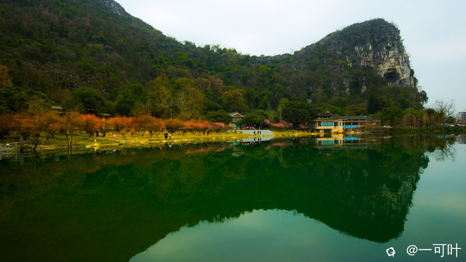 a6IMG_6193.jpg