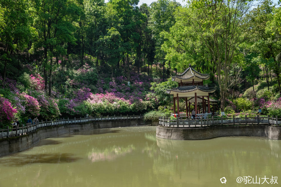 DSC01323-0- 副本.jpg