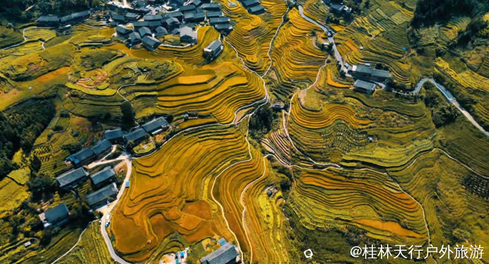 微信图片_20251009100040_74_3.jpg