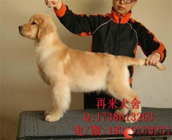 	 ���������н�ëȮ���� ��ë��Ȯ�۸� ��ë������