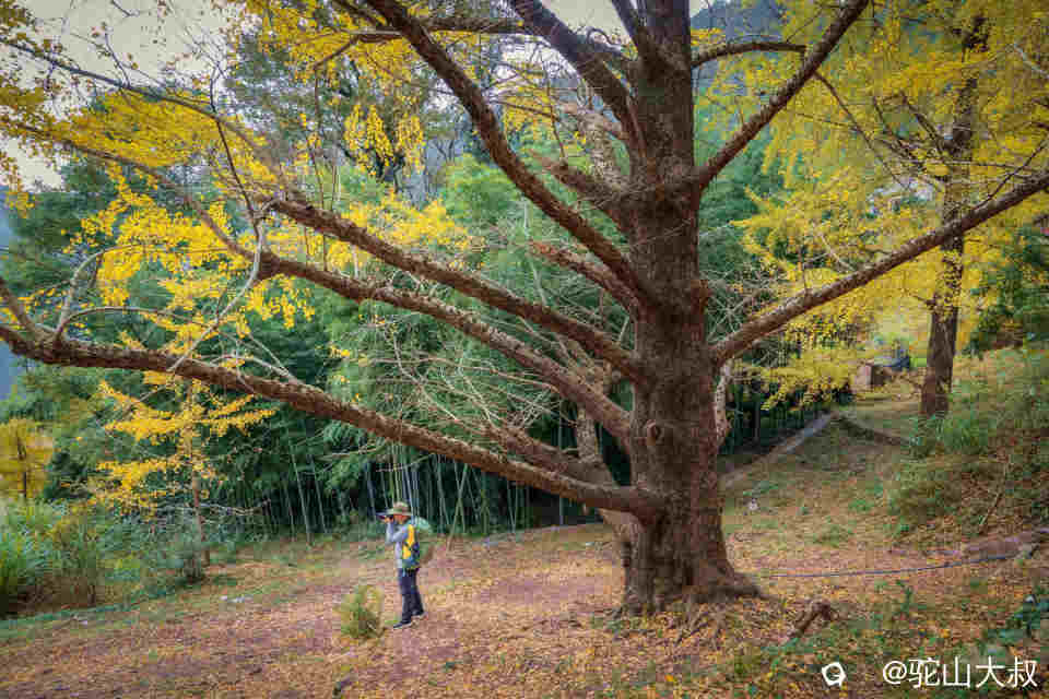 DSC04396-1 - 副本.jpg