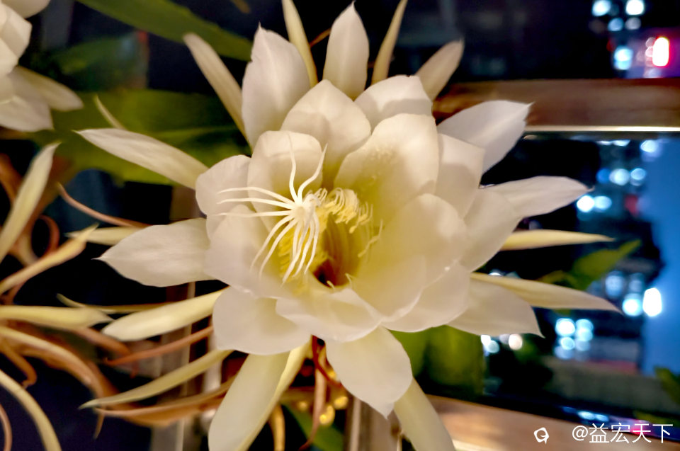 image_1781357700073.jpg