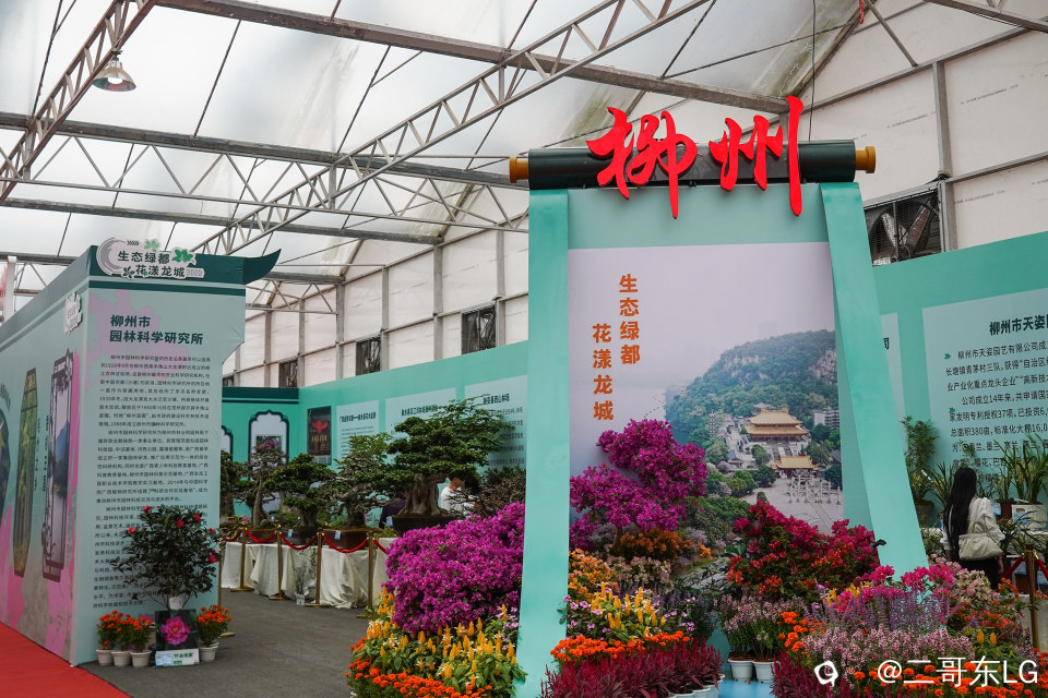 南方第三届花卉苗木交易会 (9).jpg