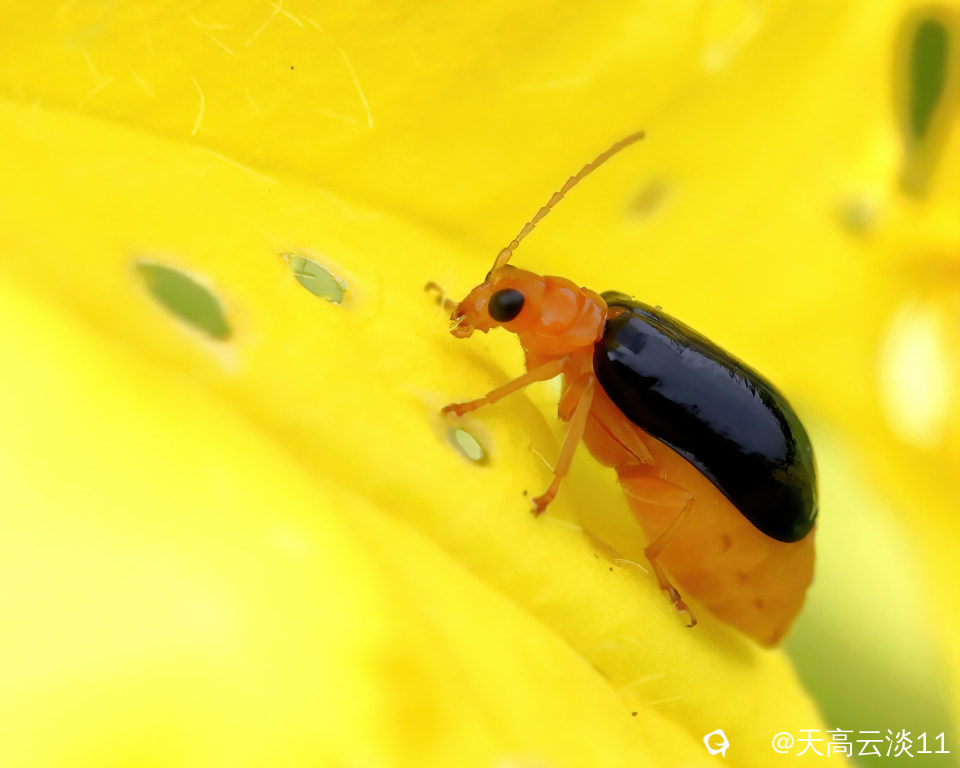 IMG_2497_副本-DeNoiseAI-denoise.jpg