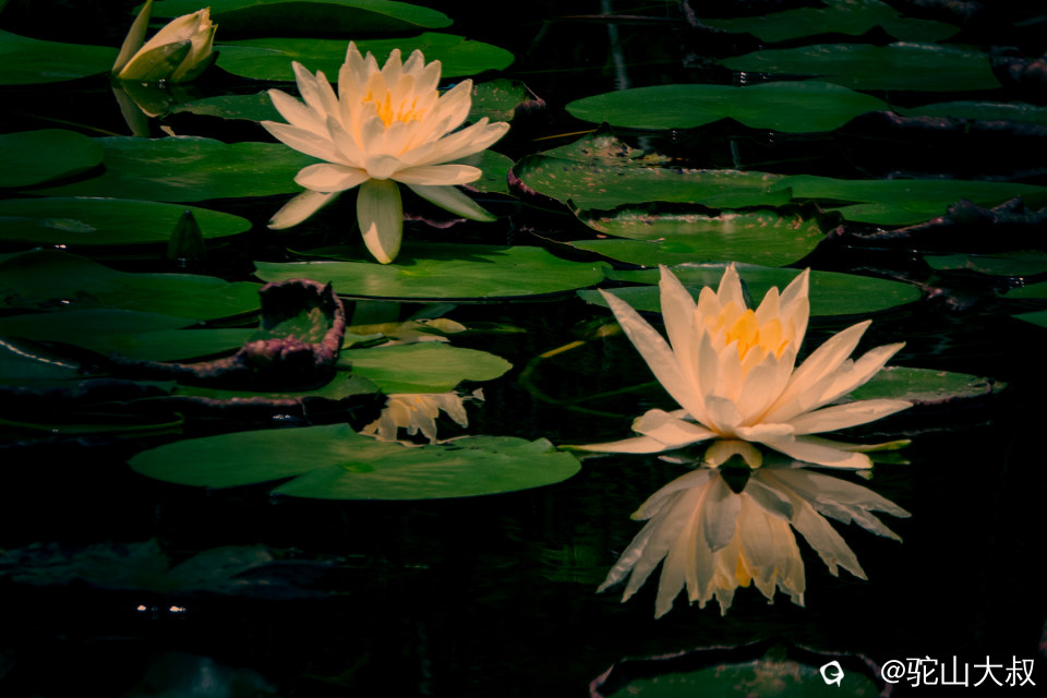 DSC03322-0.jpg