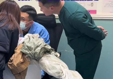这是什么动物？宠物医院里拍到的一幕，咋一看以为抱着捆甘蔗就来了