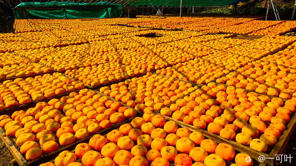 a23IMG_20231224_104914.jpg